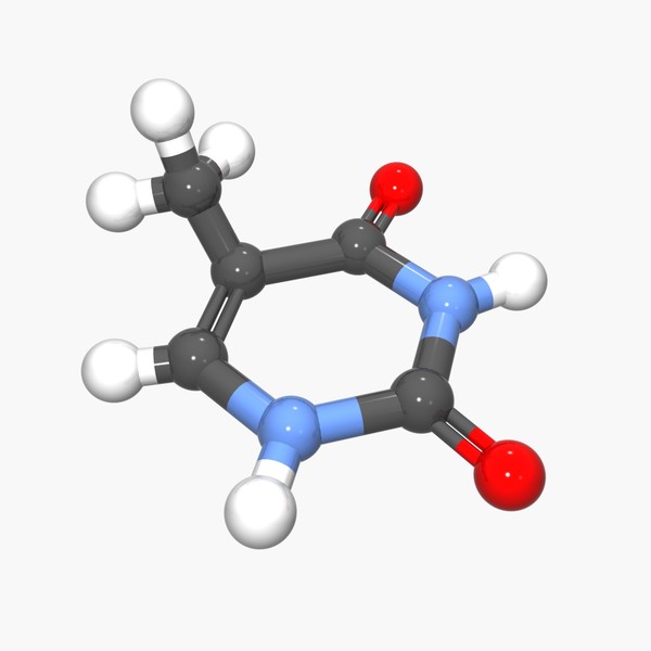 DNA - Thymine Nucleobase 3D Models